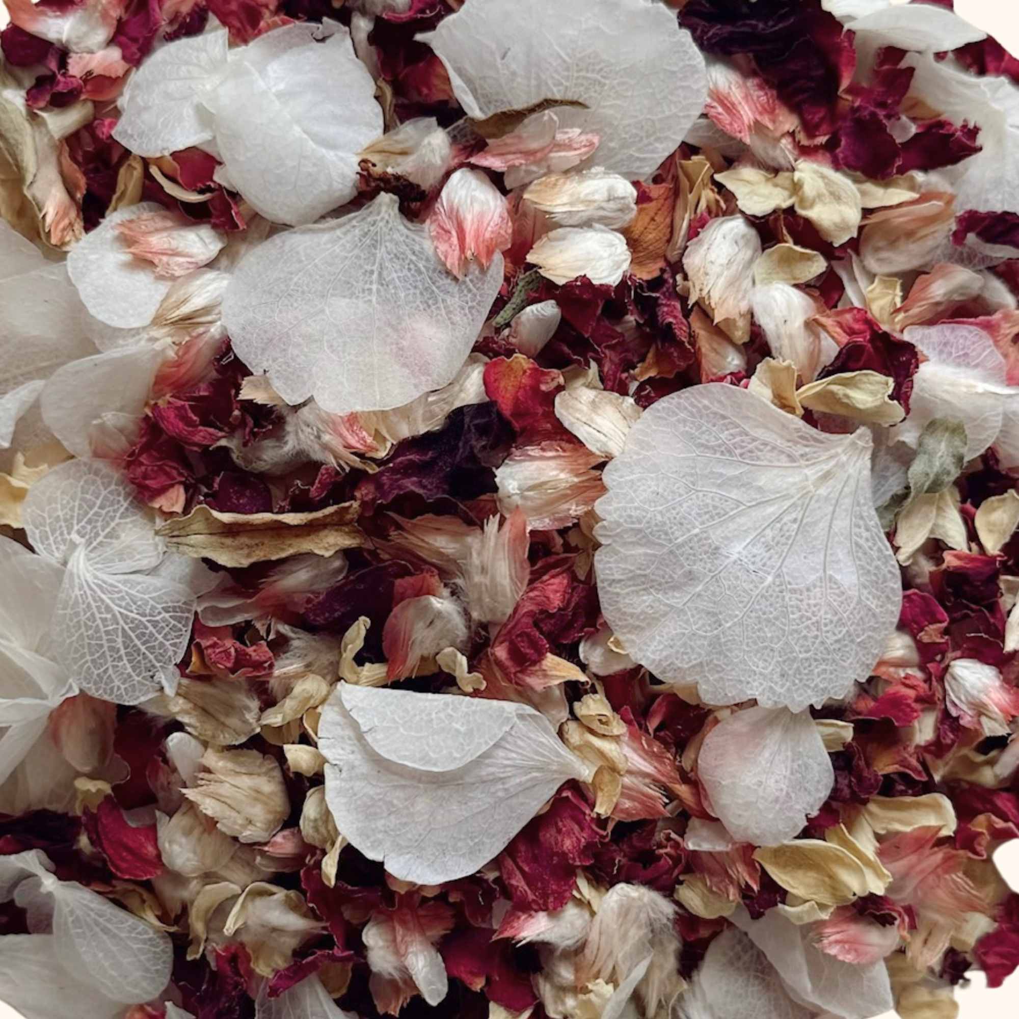 Forever Yours | Biodegradable Dried & Preserved Flower Confetti