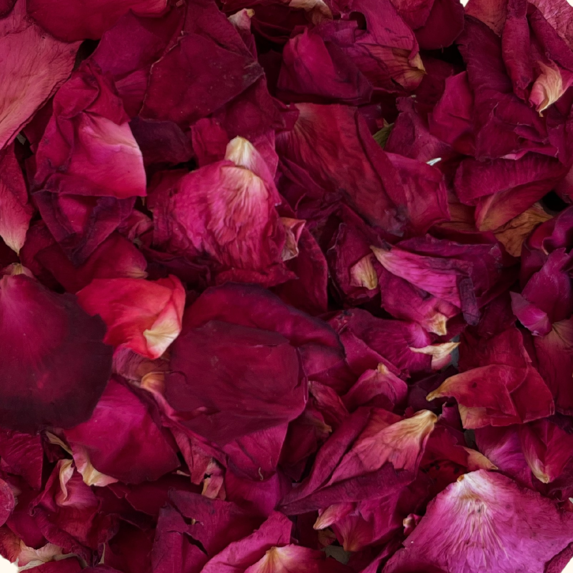 Loving You | Biodegradable Dried Flower Confetti