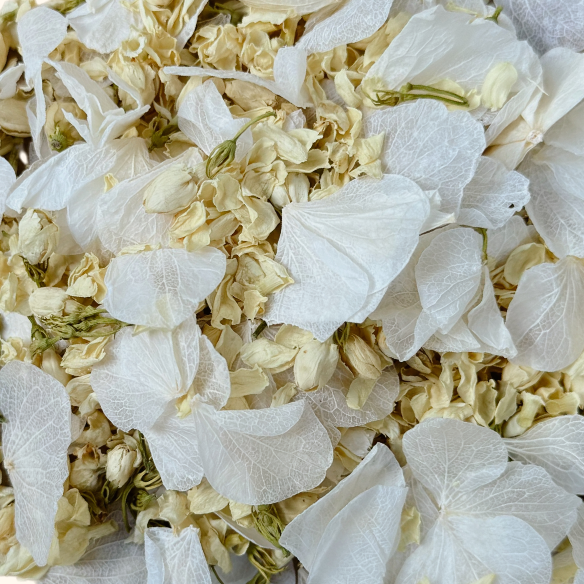 Everlasting | Biodegradable Dried & Preserved Flower Confetti