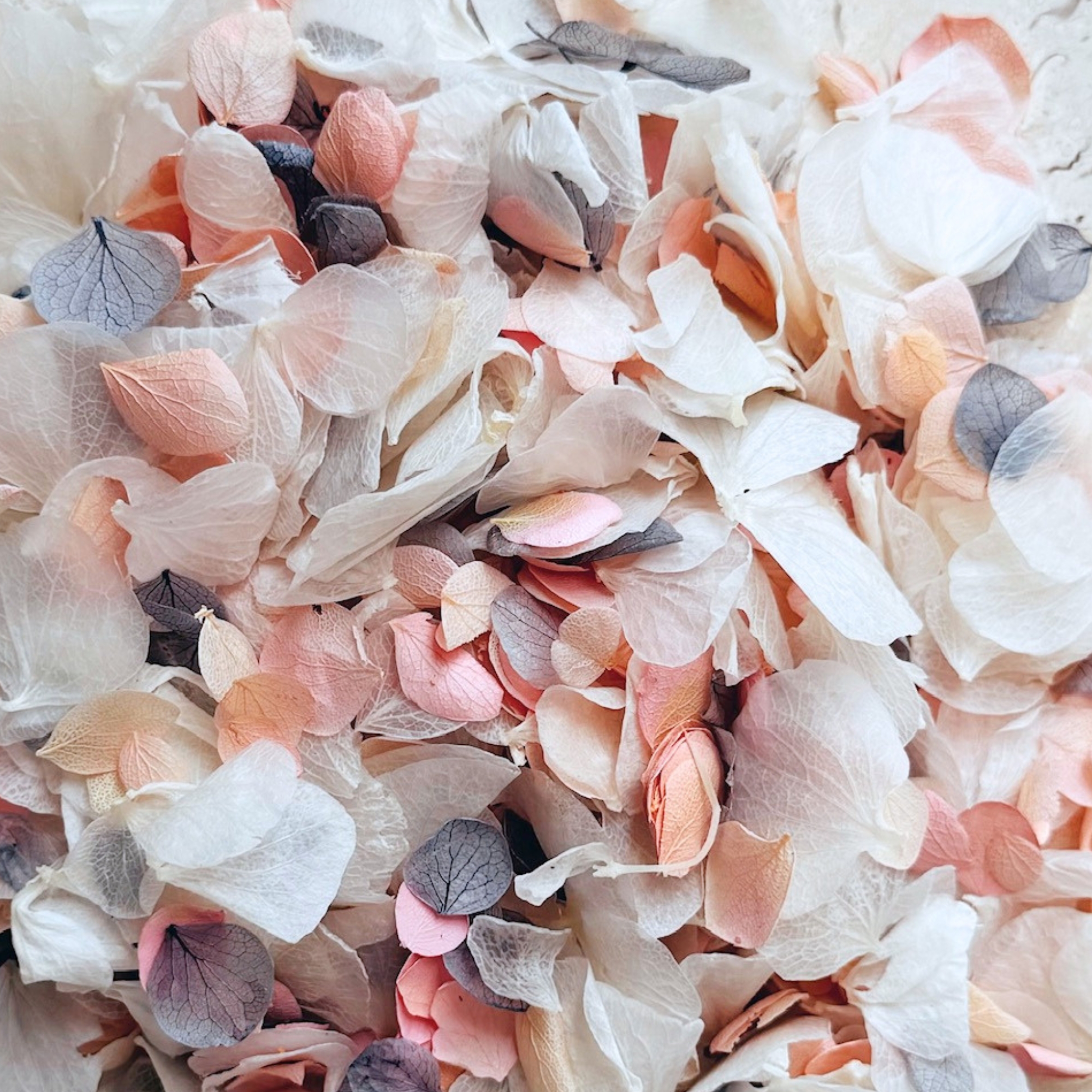 Preserved Hydrangea Petals | 'You Always' Wedding Confetti