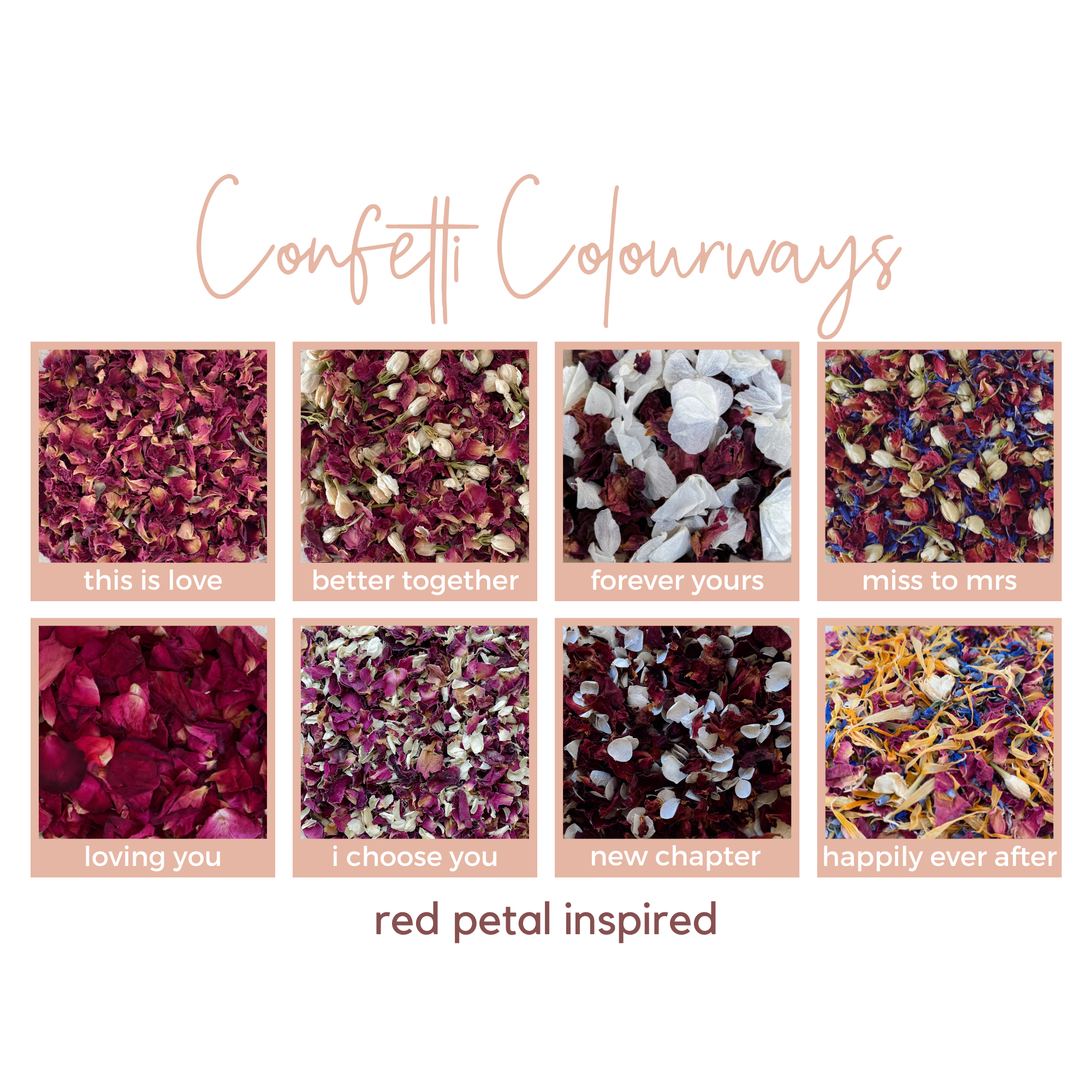 Dried Flower Confetti + Cone Bundle