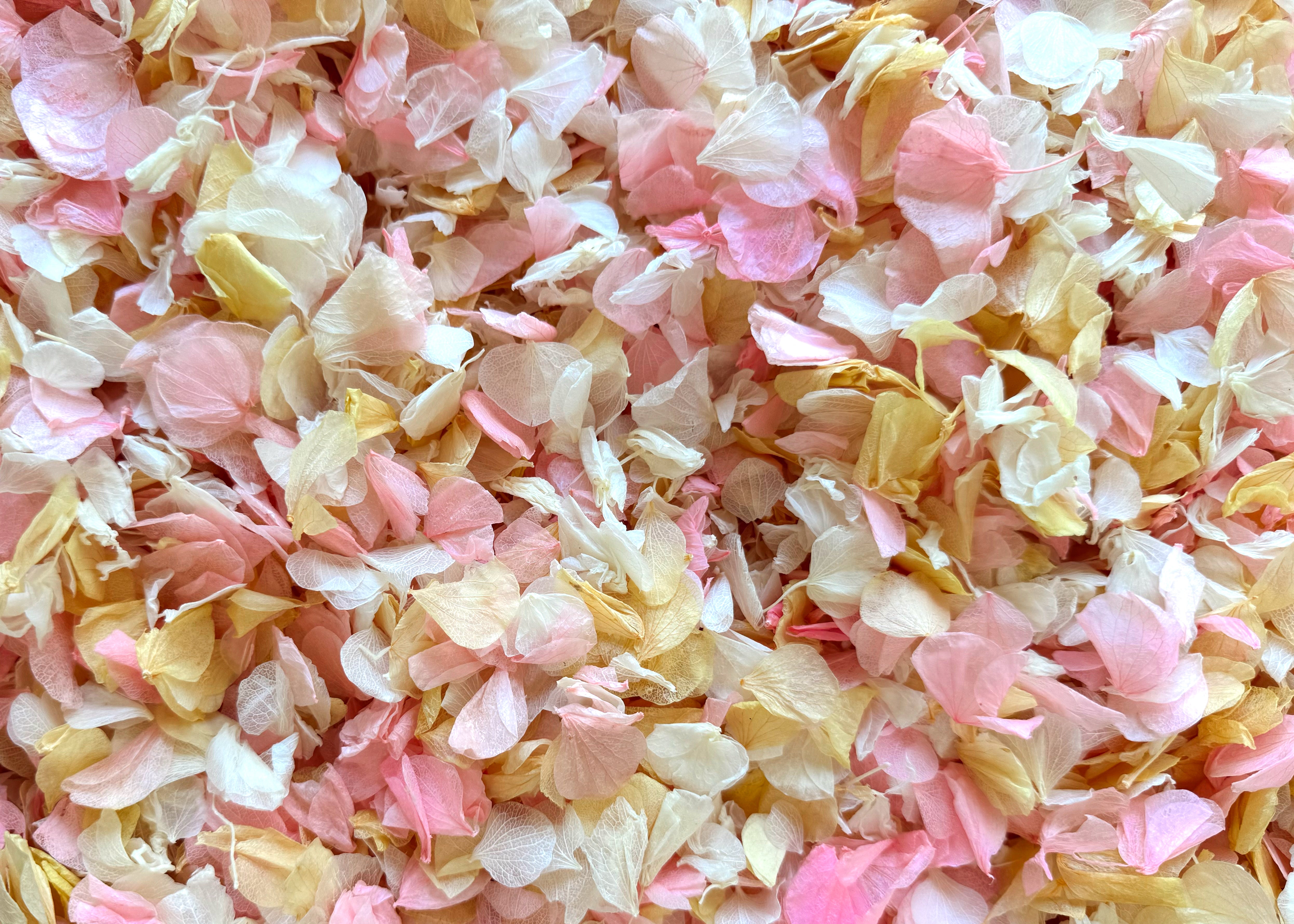 Preserved Hydrangea Petals | 'For a Lifetime' Wedding Confetti
