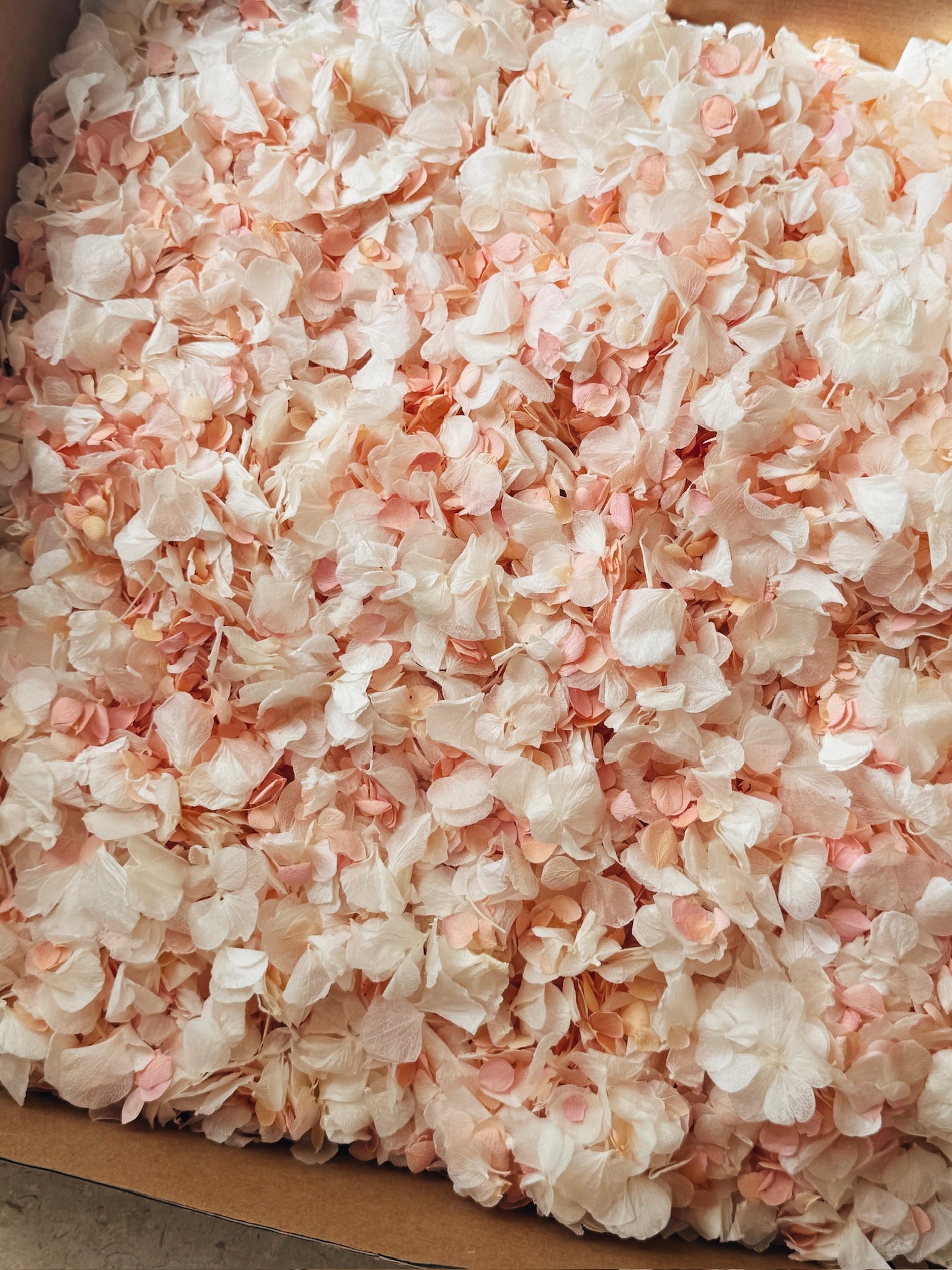 Preserved Hydrangea Petals | 'Our Day' Wedding Confetti