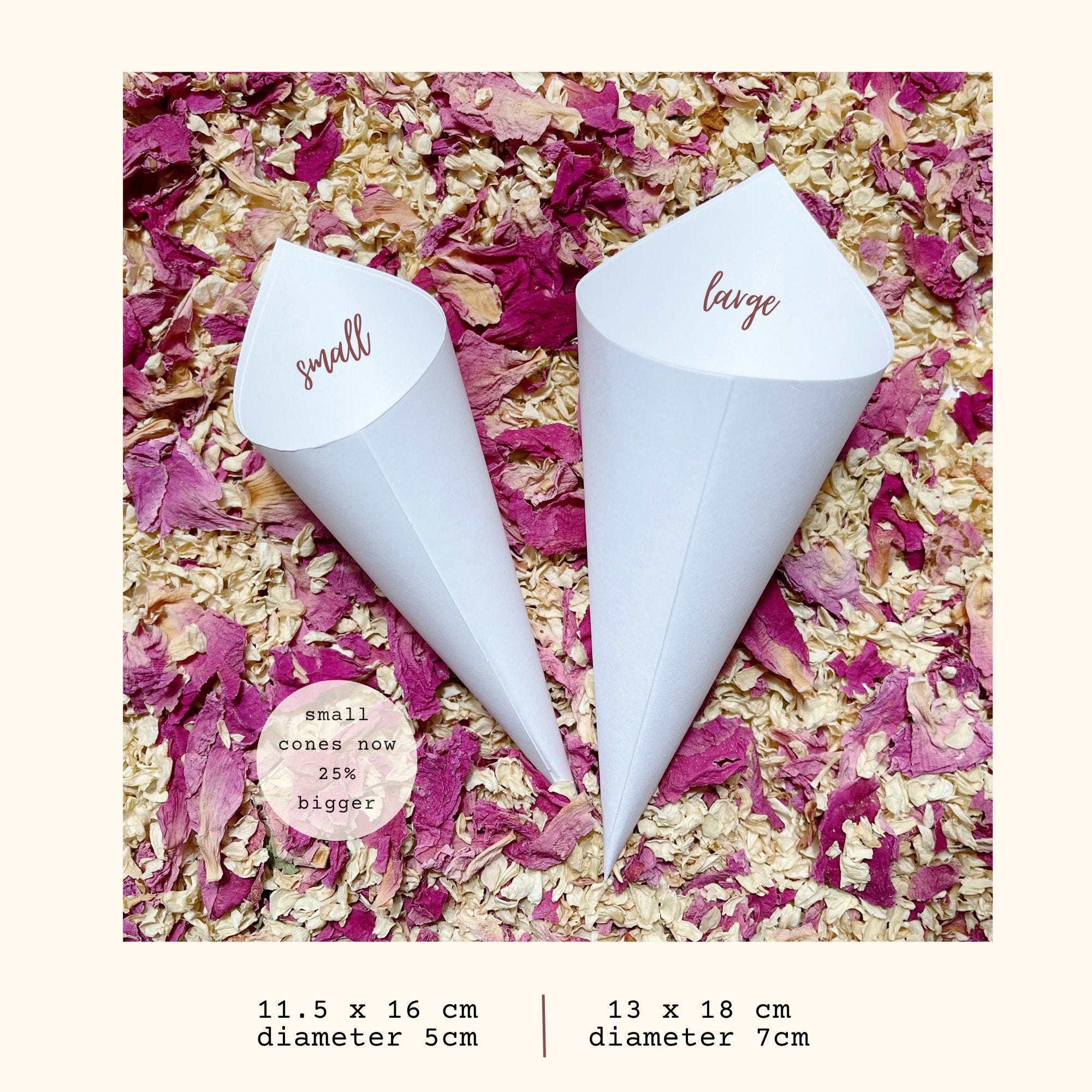 Wedding Confetti Cone | Dried Flower Confetti Cone
