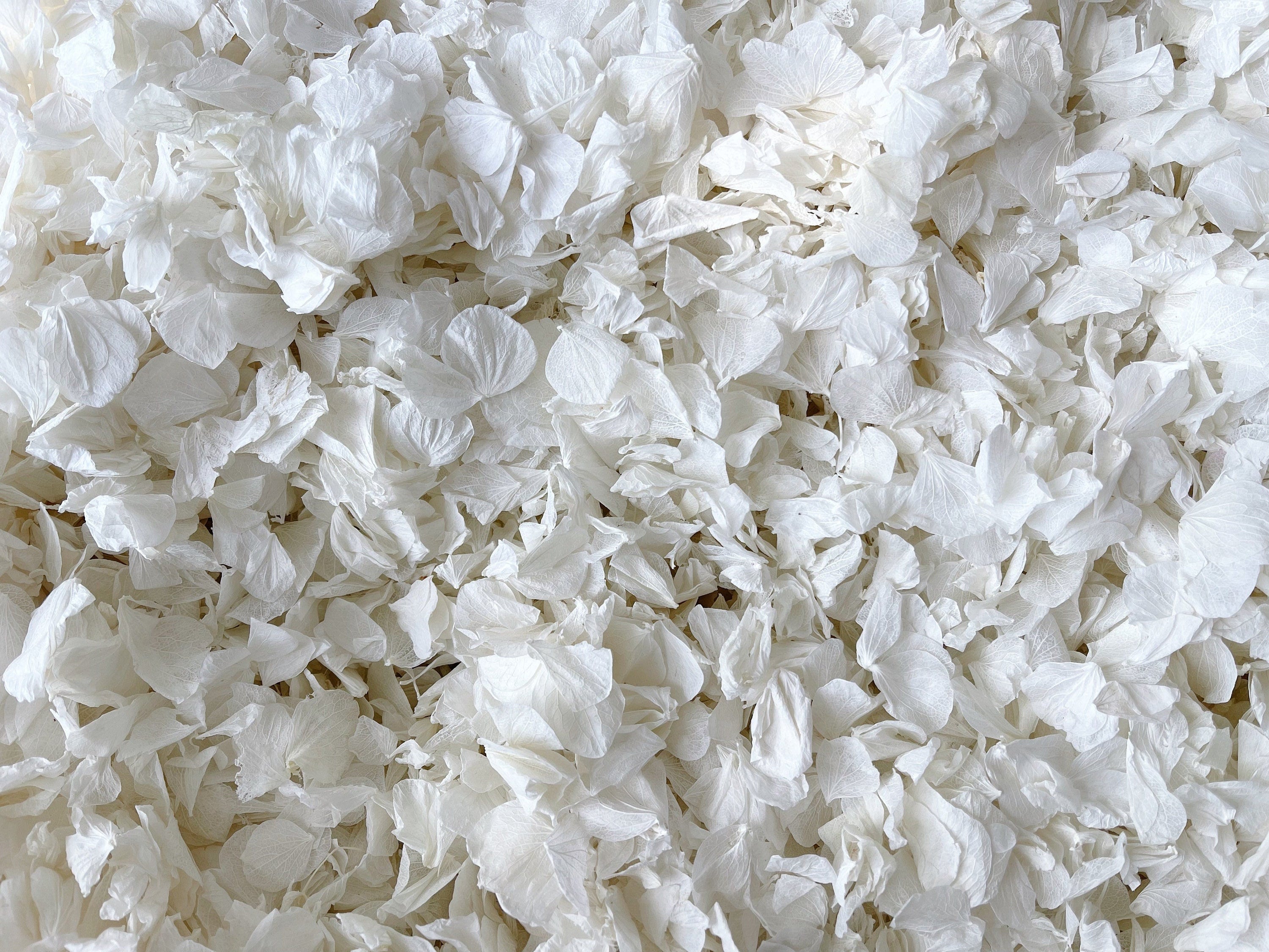 White Wedding Confetti | Real Biodegradable Petals | White Petals Confetti | Flower Girl Basket | Confetti Toss | White Hydrangea Petals