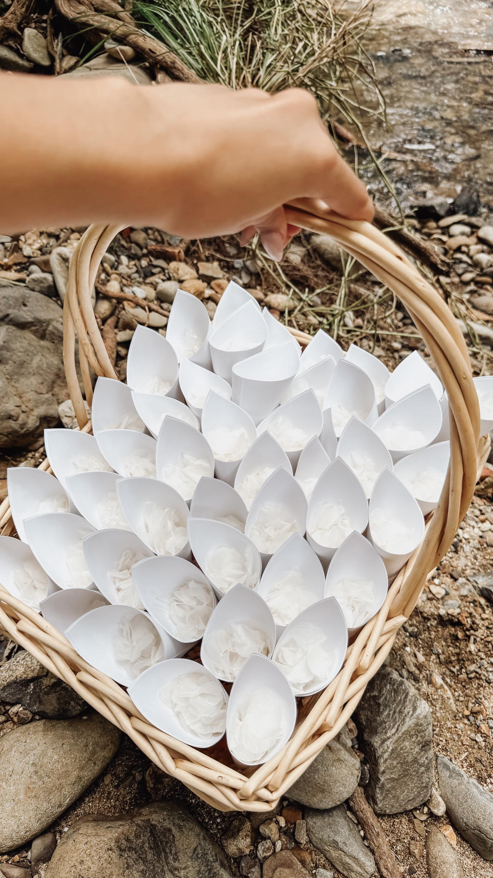White Flower Confetti + Wedding Cones, Wedding Decor, Biodegradable Confetti, Dried Flower Petals, Wedding Favours, White Wedding Confetti