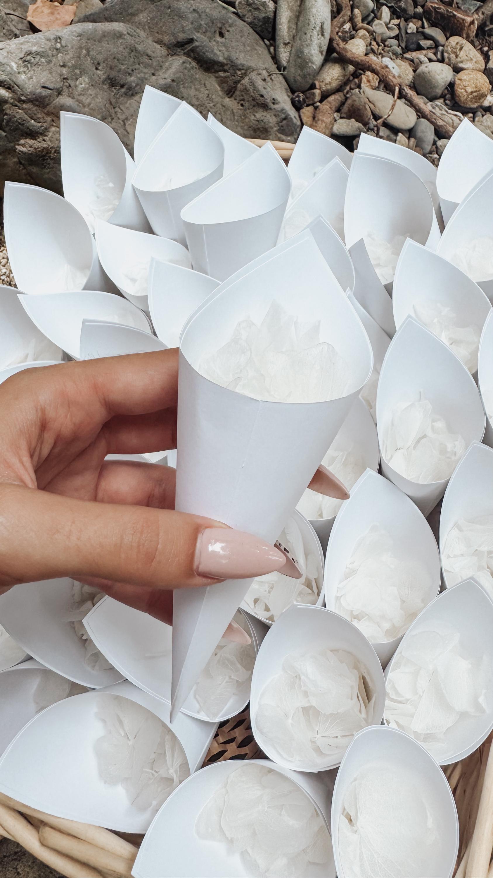 White Flower Confetti + Wedding Cones, Wedding Decor, Biodegradable Confetti, Dried Flower Petals, Wedding Favours, White Wedding Confetti