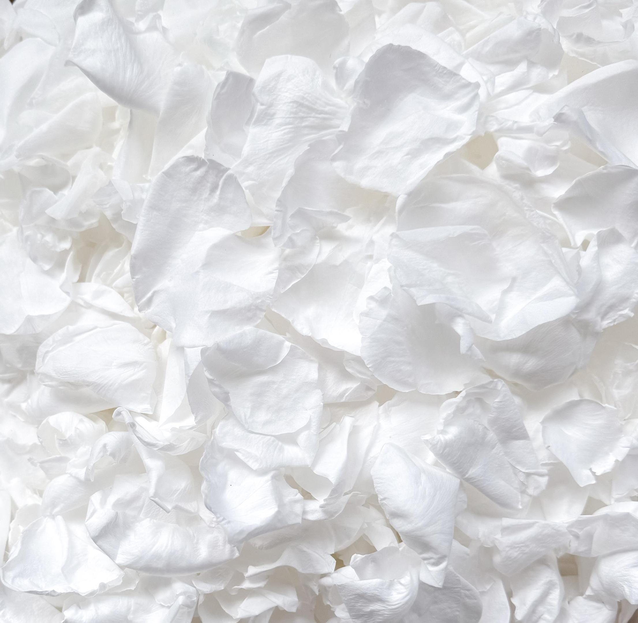 White Rose Petals for Wedding Confetti | Biodegradable Confetti | Flower Girl Basket | Wedding Decor | Preserved Rose Petals | Aisle Decor