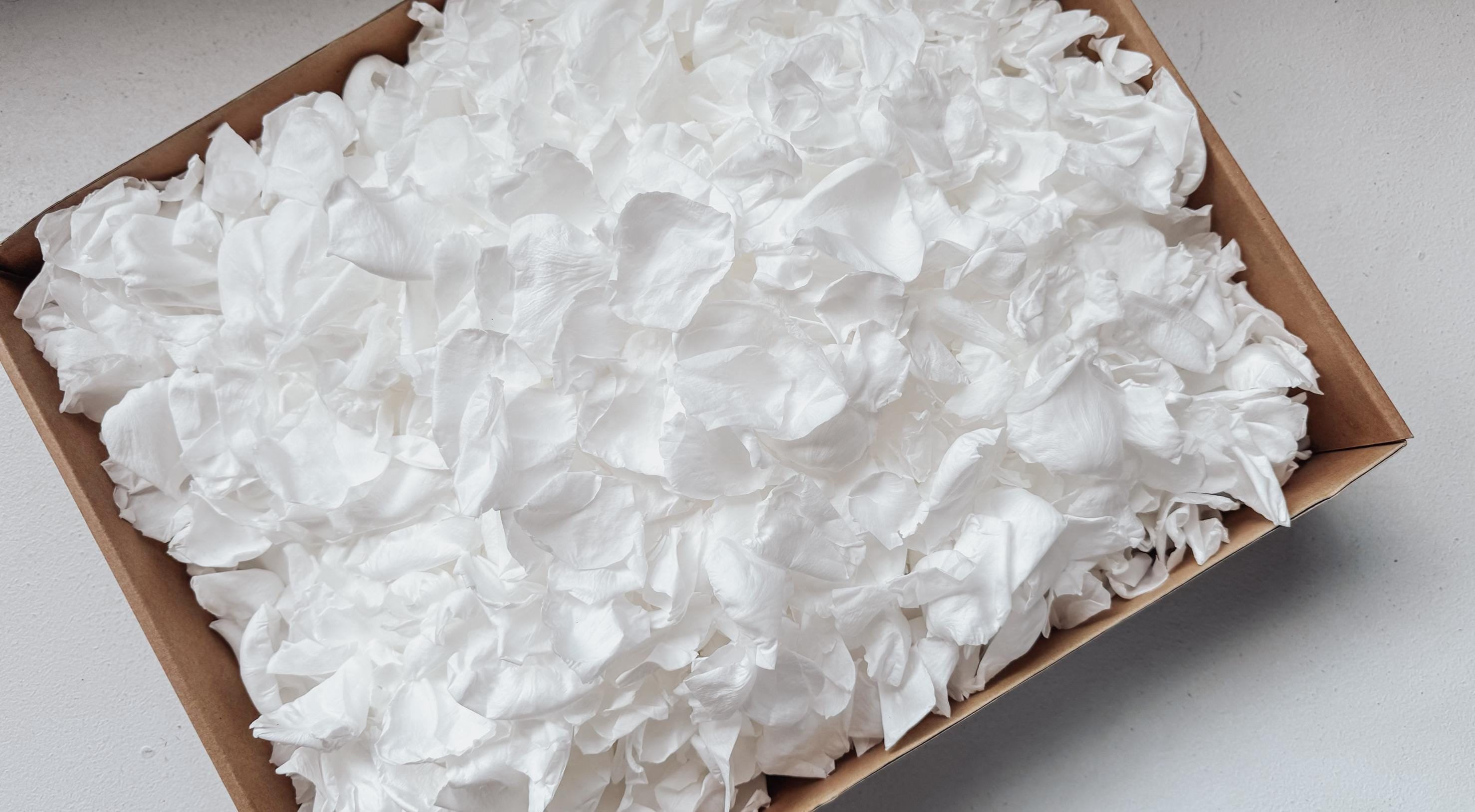 White Rose Petals for Wedding Confetti | Biodegradable Confetti | Flower Girl Basket | Wedding Decor | Preserved Rose Petals | Aisle Decor