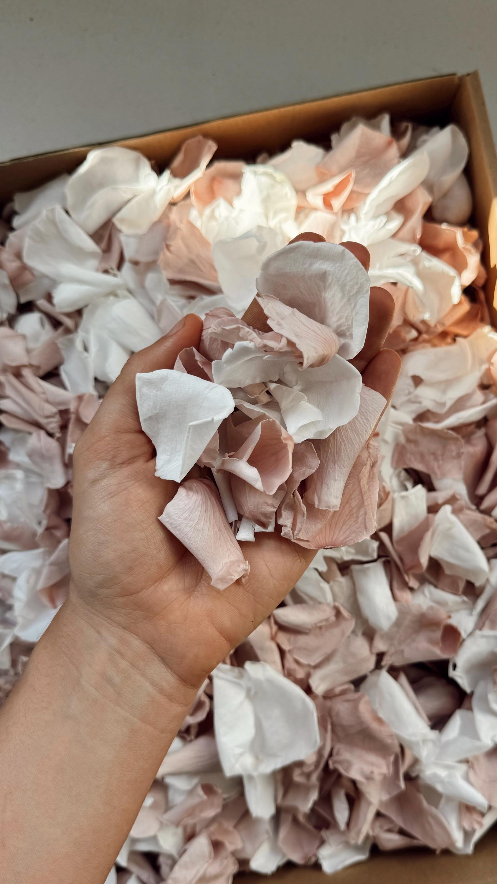 1 Litre Rose Petals for Wedding Confetti | Biodegradable Confetti | Flower Girl Basket | Wedding Decor | Preserved Rose Petals | Aisle Decor