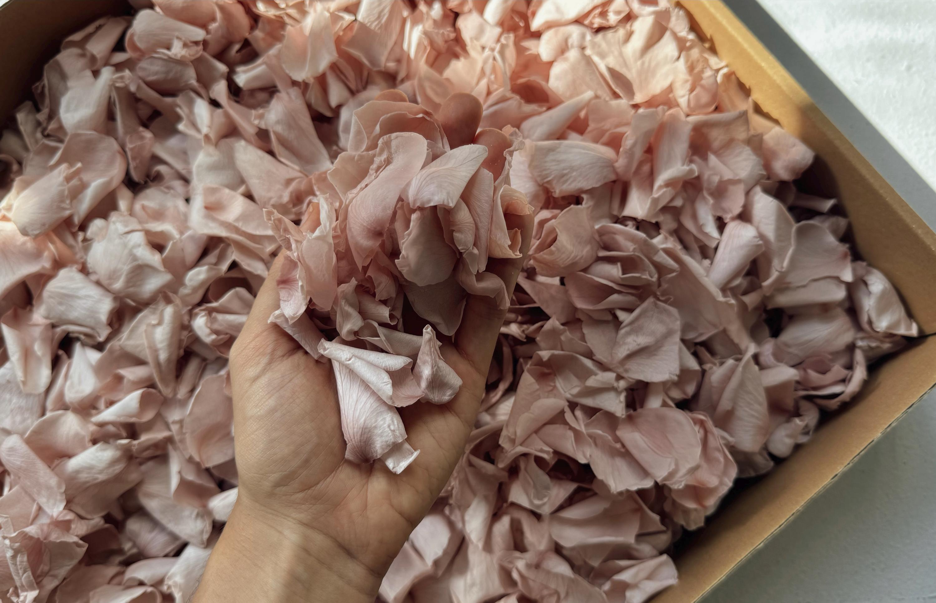 Pink Rose Petals for Wedding Confetti | Biodegradable Confetti | Flower Girl Basket | Wedding Decor | Preserved Rose Petals | Aisle Decor