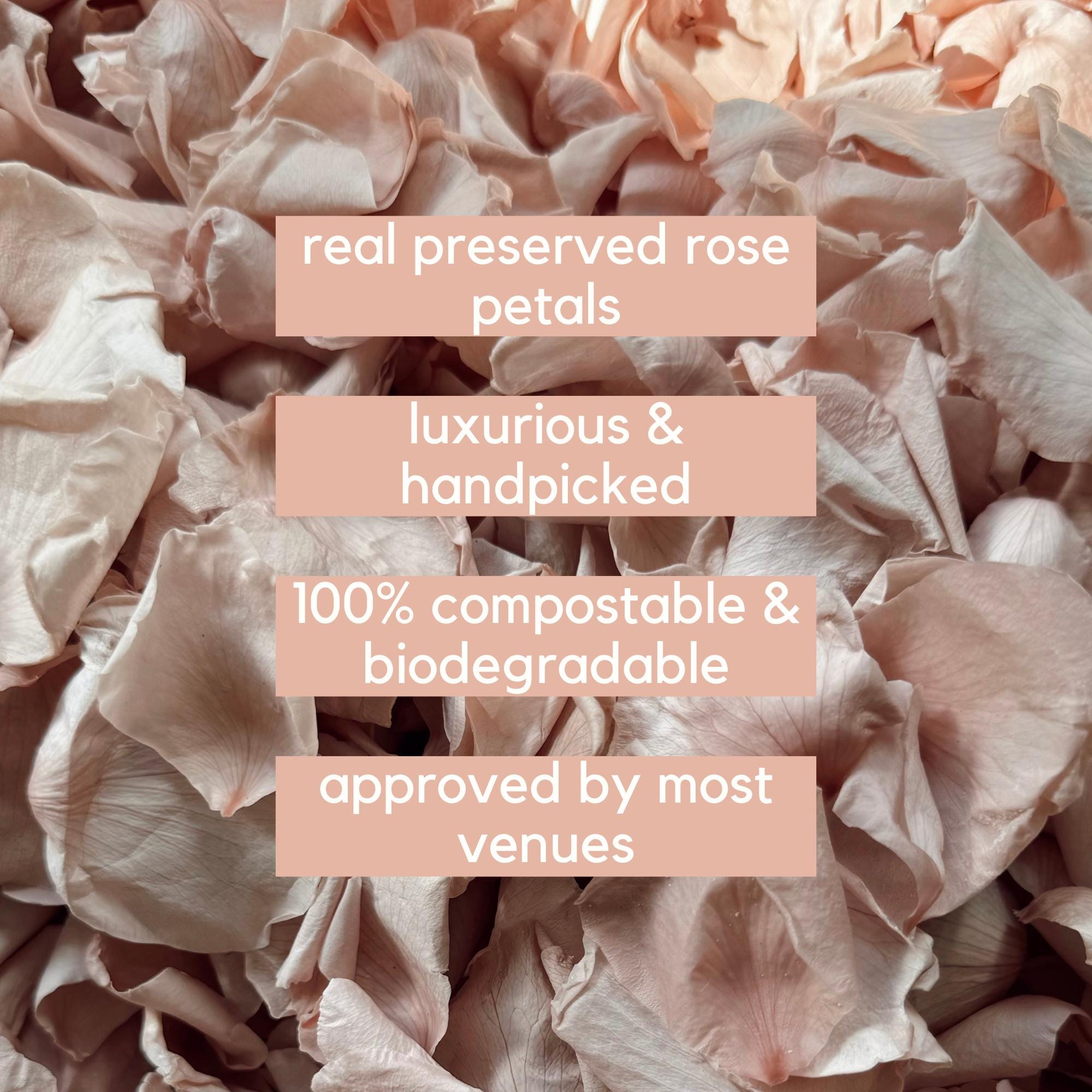 Pink Rose Petals for Wedding Confetti | Biodegradable Confetti | Flower Girl Basket | Wedding Decor | Preserved Rose Petals | Aisle Decor