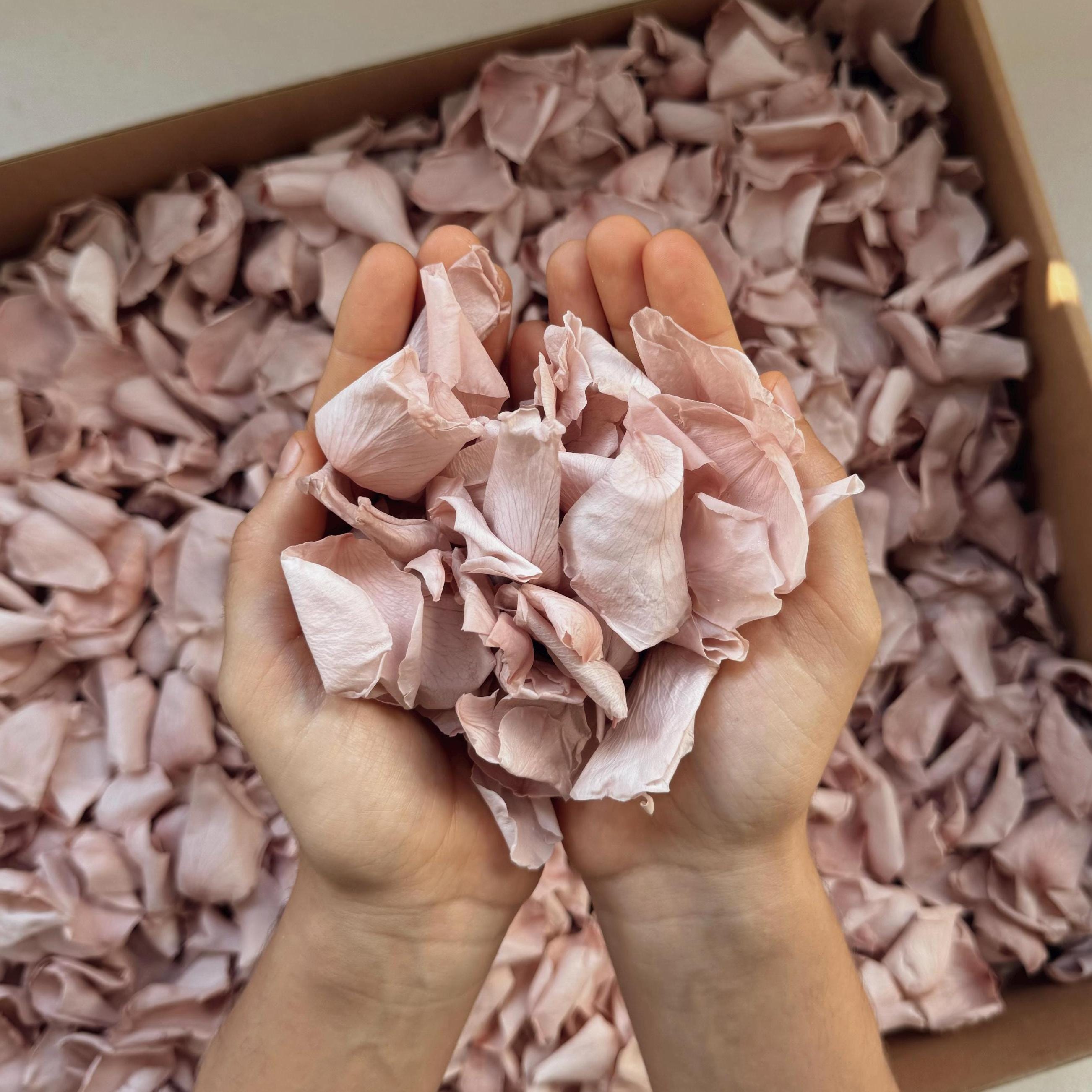 Pink Rose Petals for Wedding Confetti | Biodegradable Confetti | Flower Girl Basket | Wedding Decor | Preserved Rose Petals | Aisle Decor