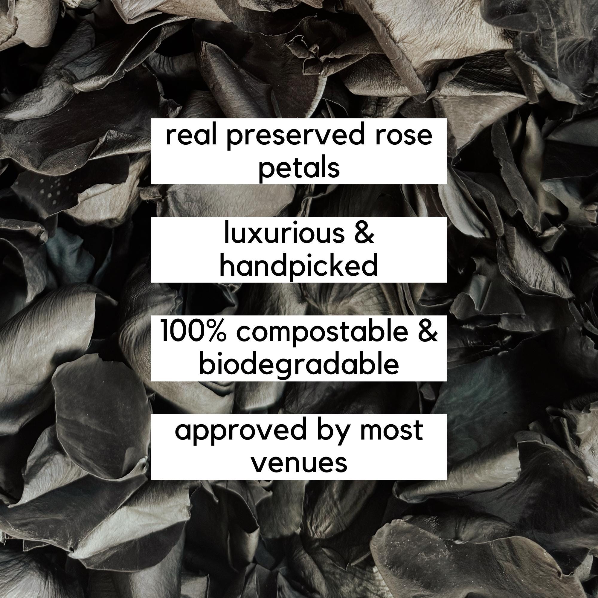 Black Rose Petals | Goth Wedding | Biodegradable Wedding Confetti | Flower Girl Basket | Goth Wedding Decor | Preserved Black Flower Petals