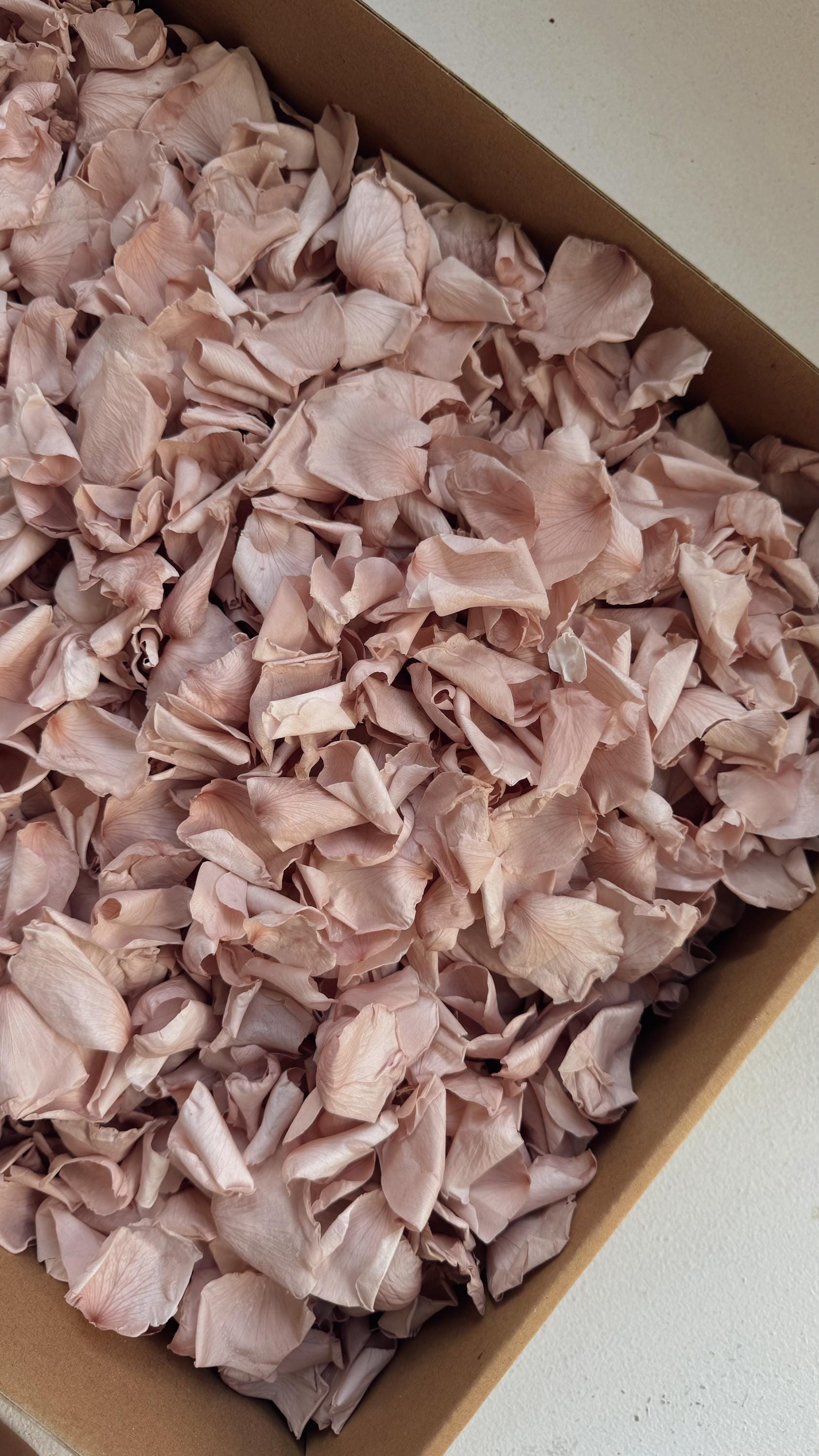 Pink Rose Petals for Wedding Confetti | Biodegradable Confetti | Flower Girl Basket | Wedding Decor | Preserved Rose Petals | Aisle Decor