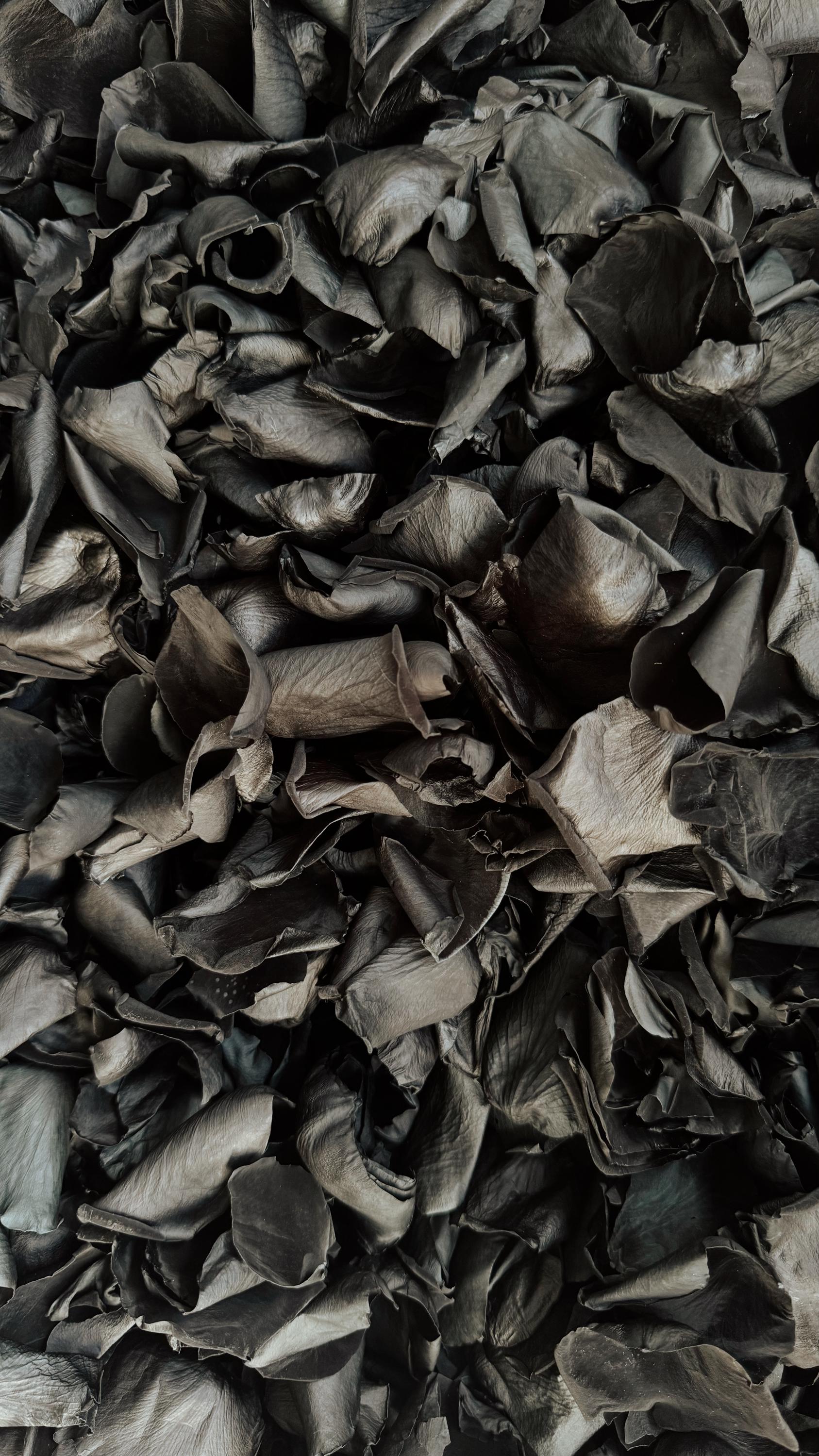 Black Rose Petals | Goth Wedding | Biodegradable Wedding Confetti | Flower Girl Basket | Goth Wedding Decor | Preserved Black Flower Petals