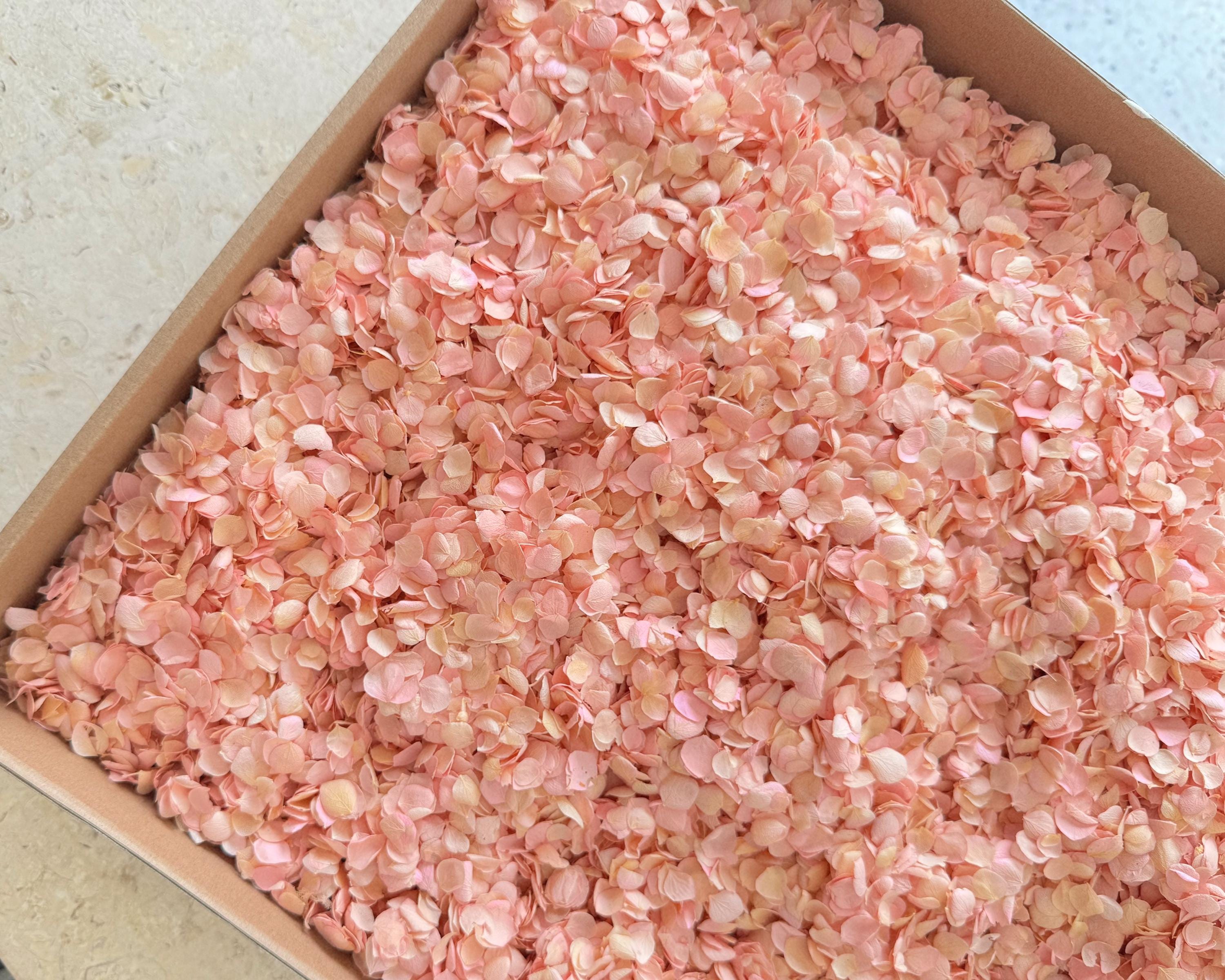Pink Ombre Hydrangea Real Flower Petals | Biodegradable Wedding Confetti