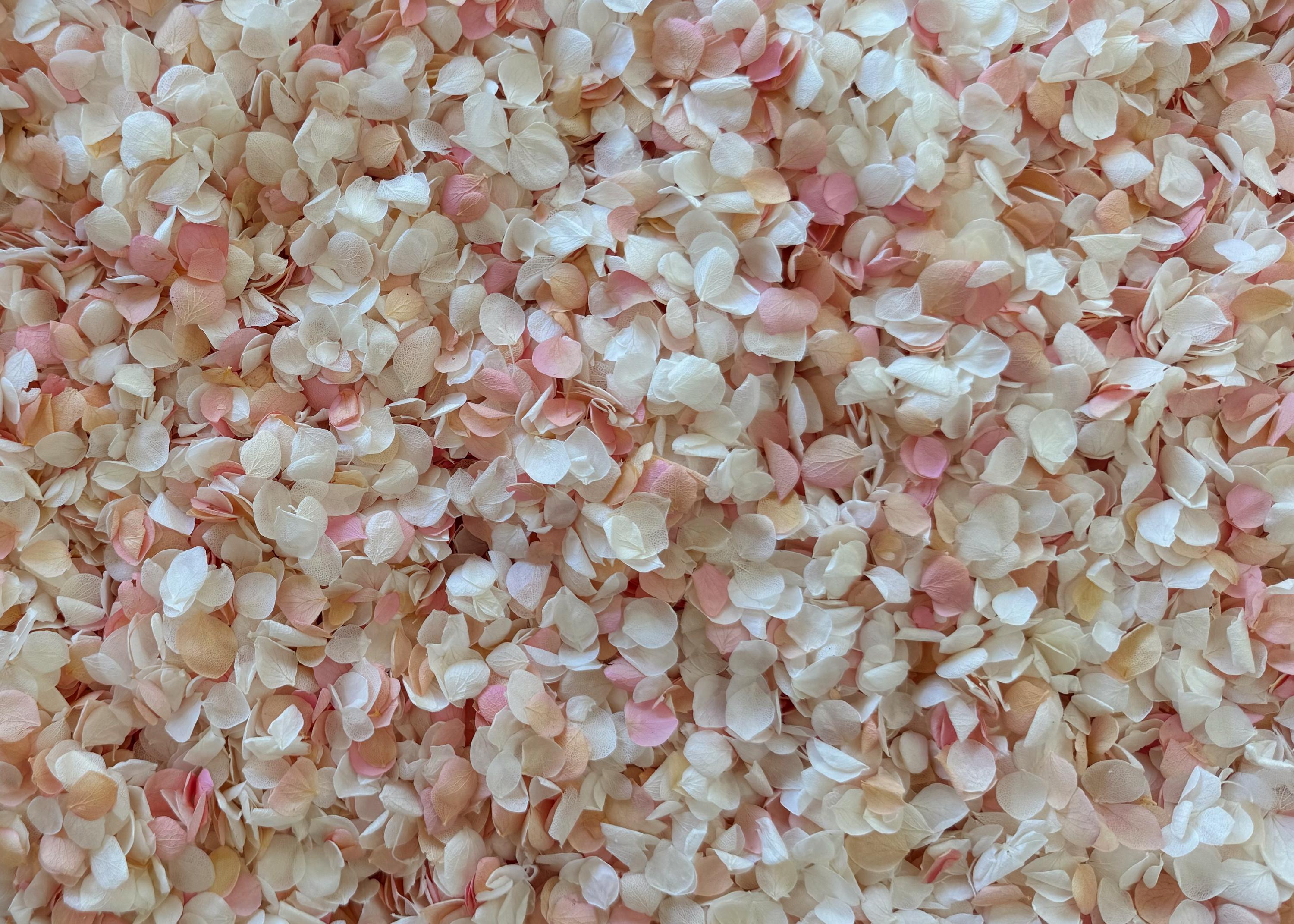 White & Pink Hydrangea Real Flower Petals | Biodegradable Wedding Confetti