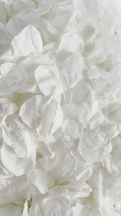 White Wedding Confetti | Real Biodegradable Petals