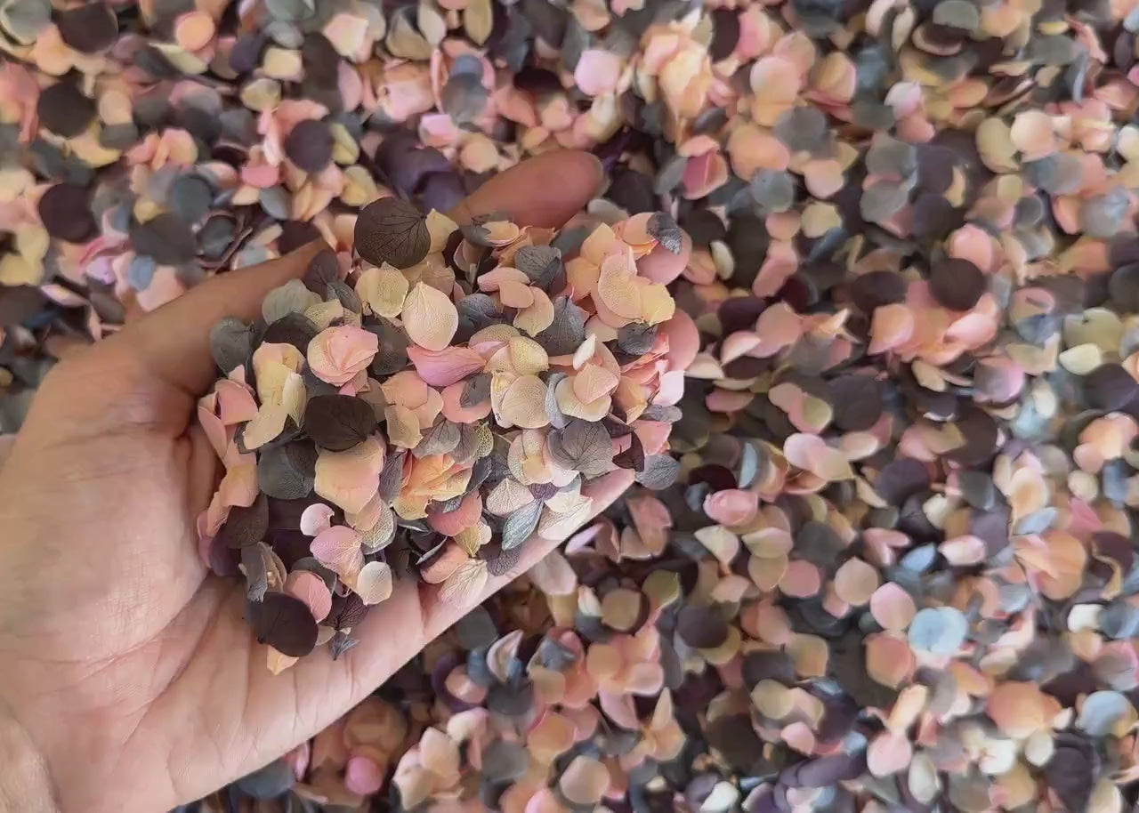 Real Hydrangea Flower Petals | Biodegradable Wedding Confetti