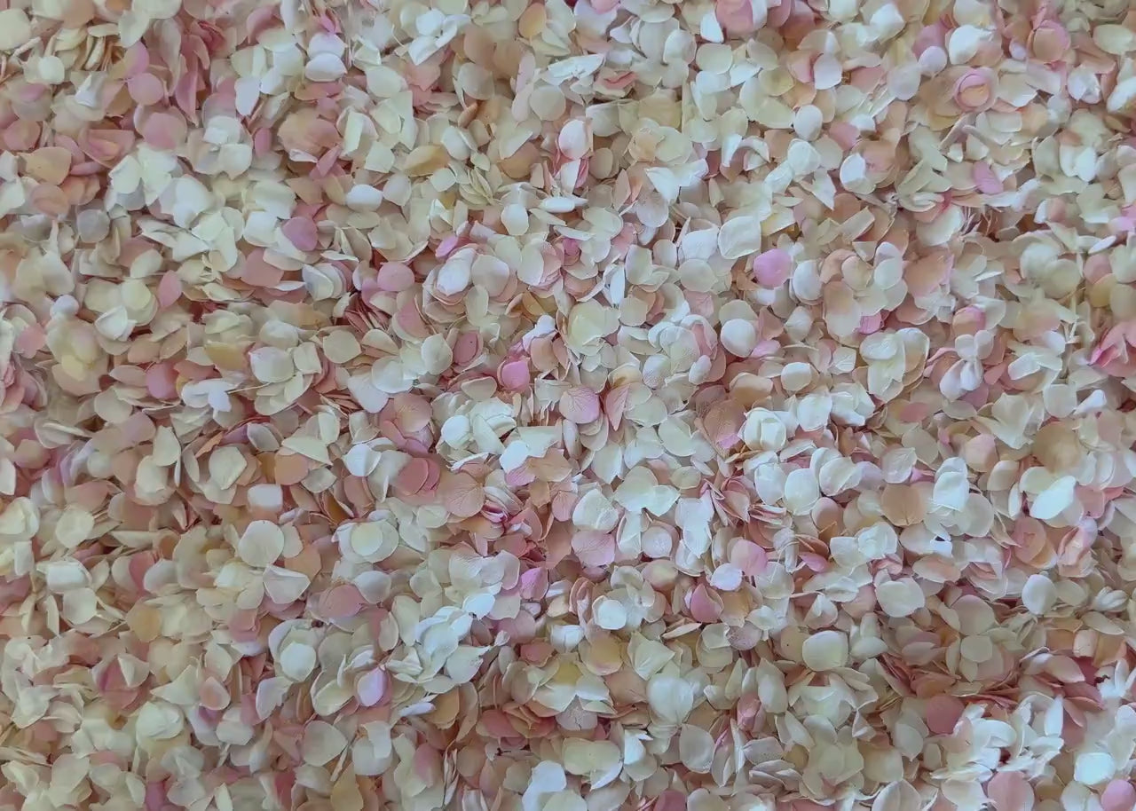 White & Pink Hydrangea Real Flower Petals | Biodegradable Wedding Confetti