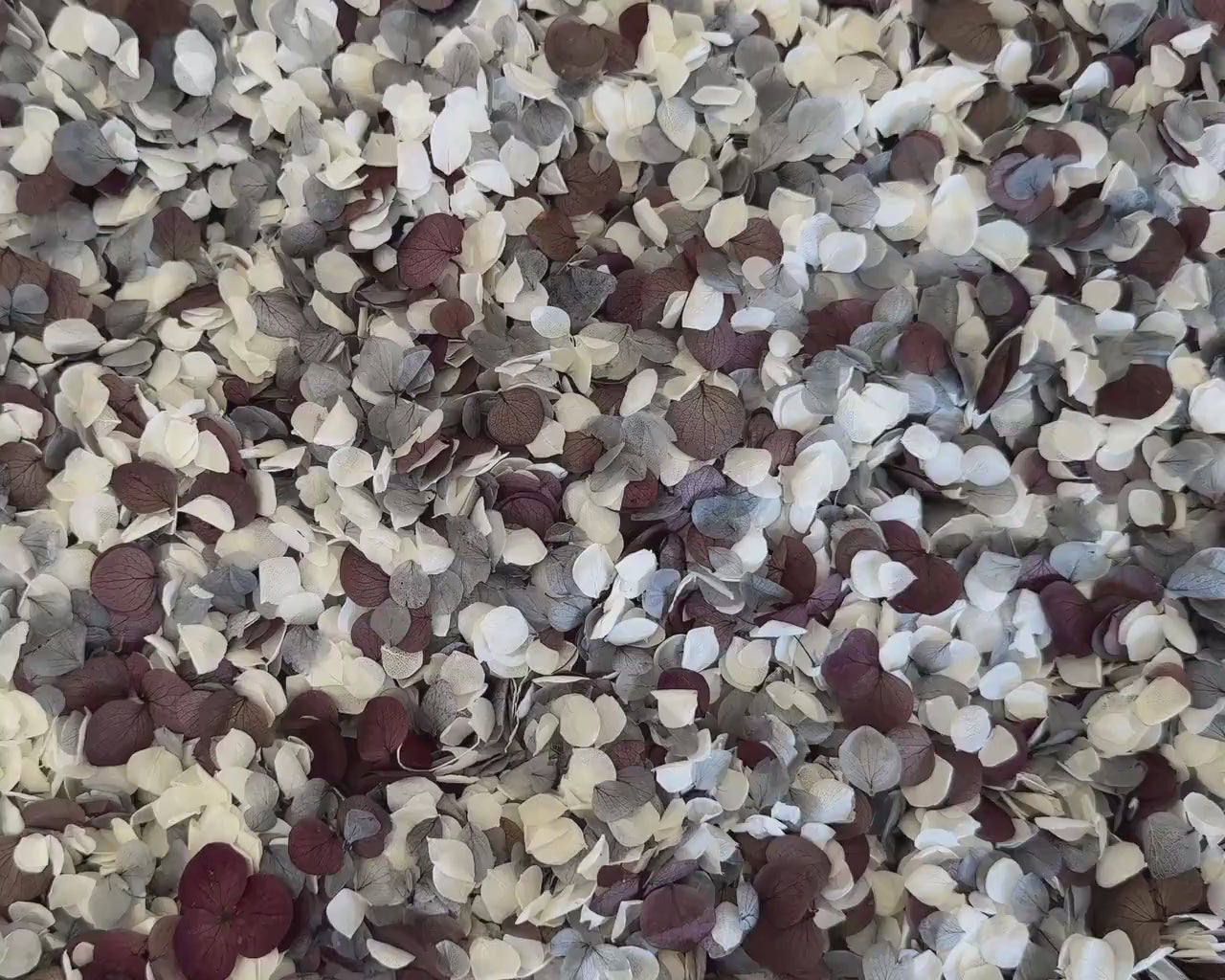 Real Hydrangea Flower Petals | Biodegradable Wedding Confetti