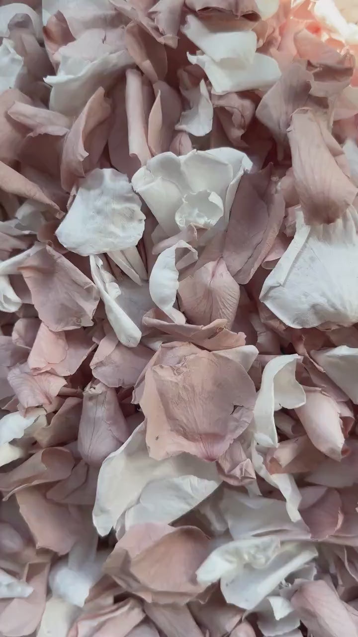 1 Litre Rose Petals for Wedding Confetti | Biodegradable Confetti