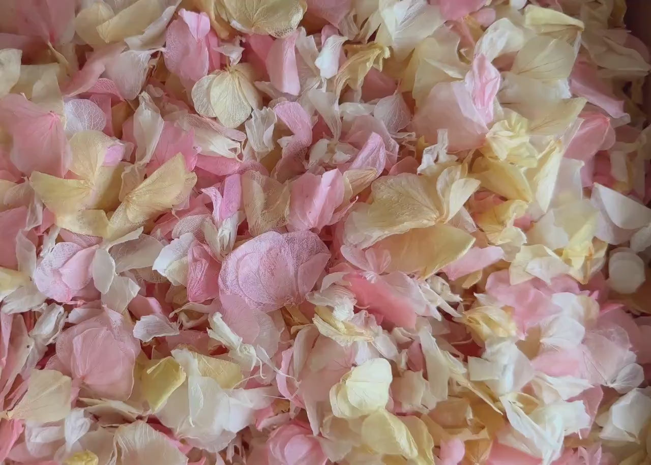 Hydrangea Petal Wedding Confetti | Real Biodegradable Petals