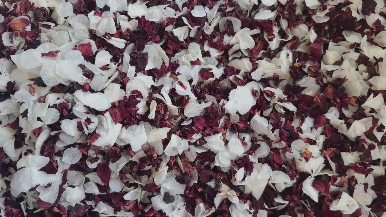 White Wedding Confetti | Rose Petal Confetti